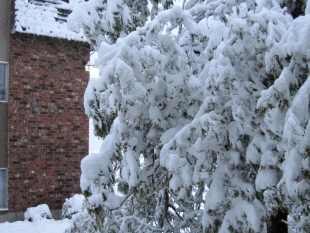 Winter Storm Atlas